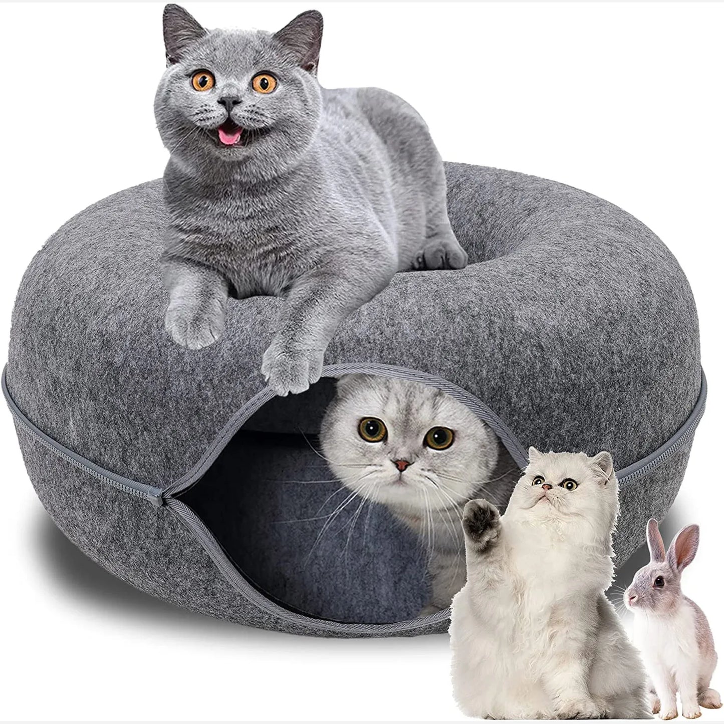 Cat Tunnel House