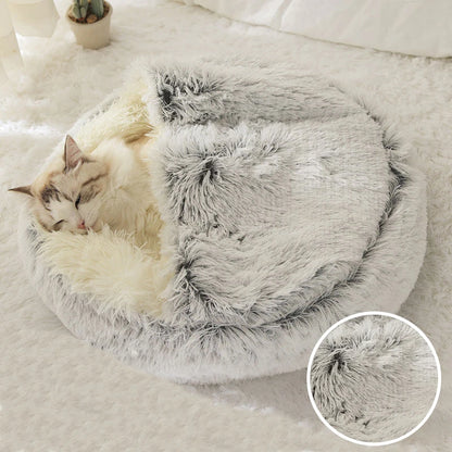 Cat Winter Cave